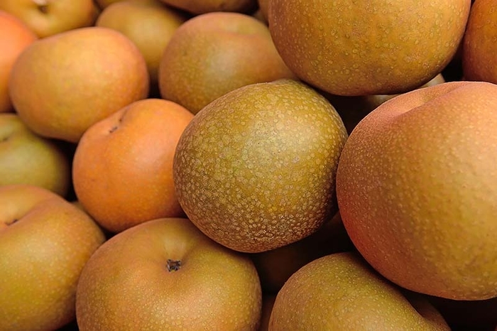 Nitaka Asian Pear